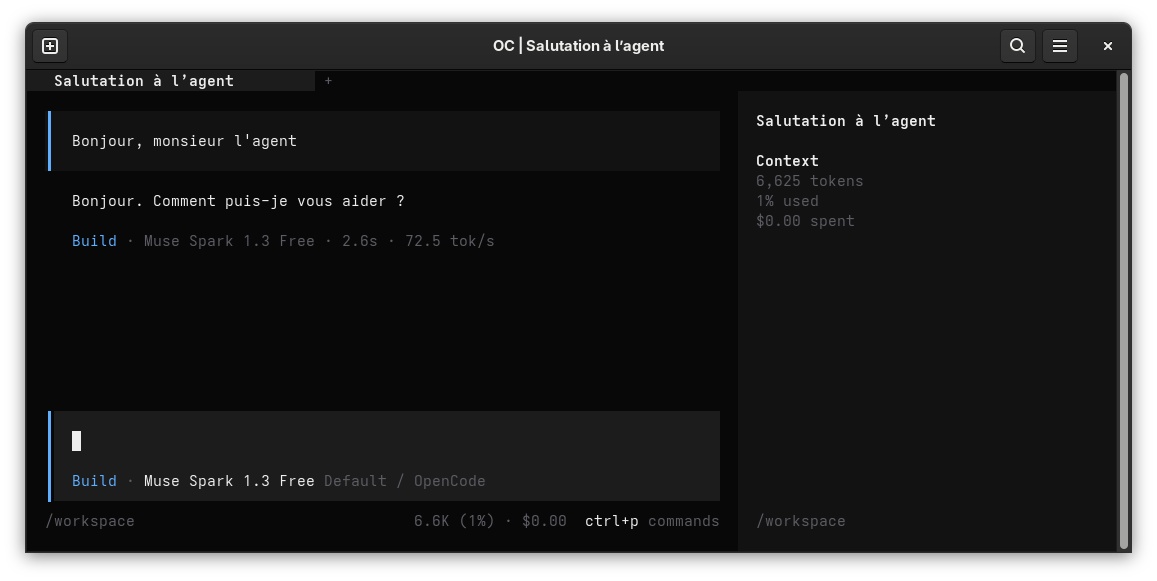 OpenCode terminal UI inside the microVM, answering a short French greeting